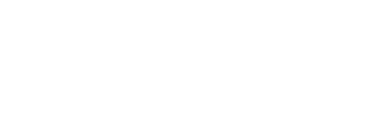 Godox logo